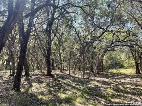 420 Spring St, Spring Branch, TX 78070 photo 2