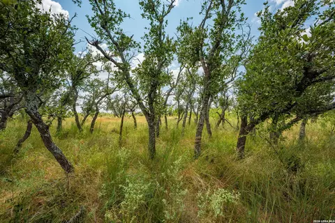 1445 Cave Wells Rd, Fort Mckavett, TX 76841