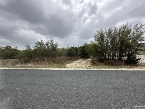 226 Roy Nichols, Blanco, TX 78606