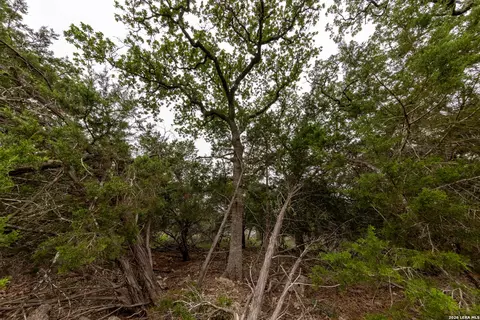 5742 Spring Branch Rd, Spring Branch, TX 78070 photo 9