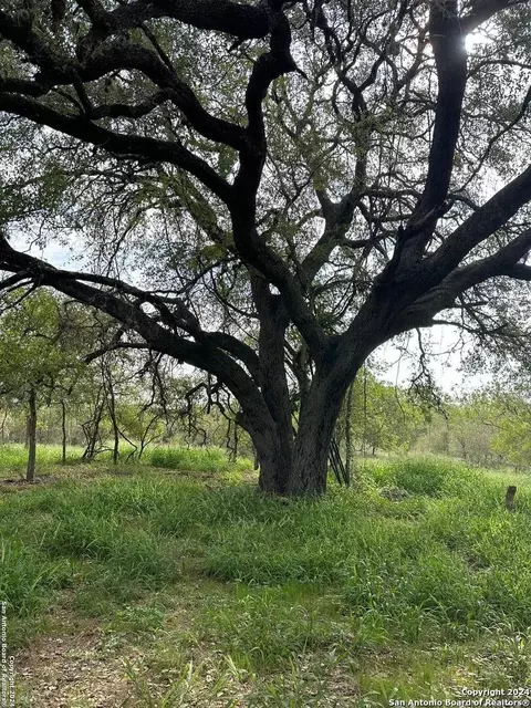 20588 S State Highway 16, Von Ormy, TX 78073 photo 2