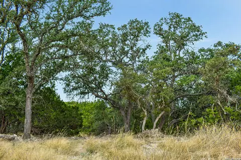 08 W Bison Way, Harper, TX 78631