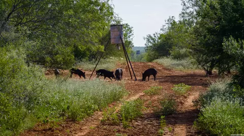 Other - 000 Vesper, Cotulla, TX 78014 photo 5 of 21
