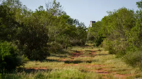 Other - 000 Vesper, Cotulla, TX 78014 photo 8 of 21