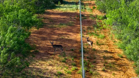 Other - 000 Vesper, Cotulla, TX 78014 photo 4 of 21