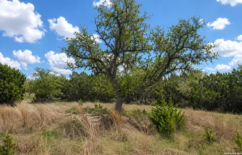 tbd Falling Oak, Blanco, TX 78606 photo 19
