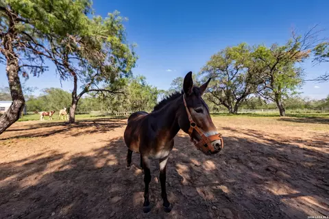 Other - 175 Quail Creek Dr, Lytle, TX 78052 photo 11 of 17