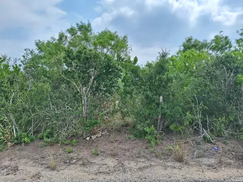 0 Cr 148, Kenedy, TX 78119