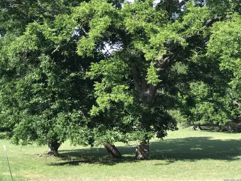 25624 Morhiss Pt, Boerne, TX 78006