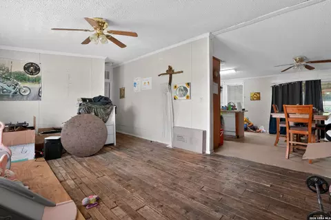 975 County Road 6753, Devine, TX 78016 photo 5