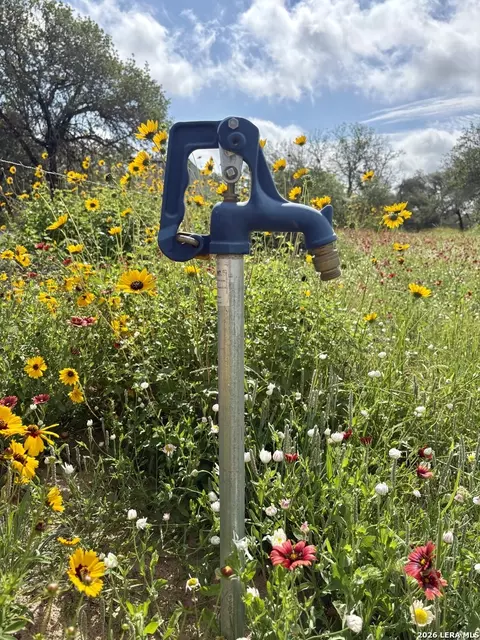 165 Sanctuary Ln, Von Ormy, TX 78073 photo 4