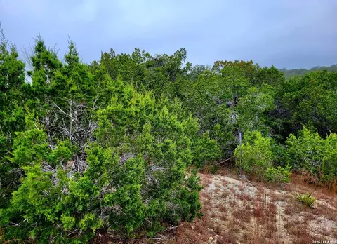 193 Appaloosa Dr, Fischer, TX 78623