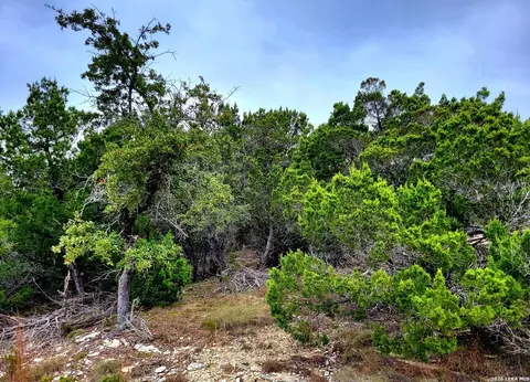 171 Appaloosa Dr, Fischer, TX 78623