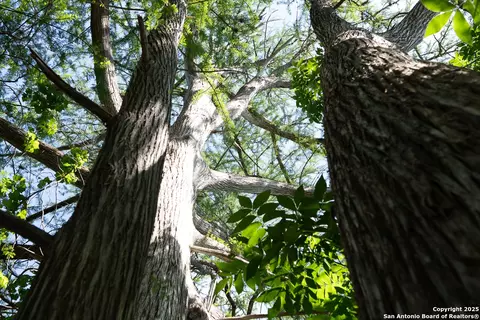 Other - 173 Pvt Rd 3820, Utopia, TX 78884 photo 6 of 10
