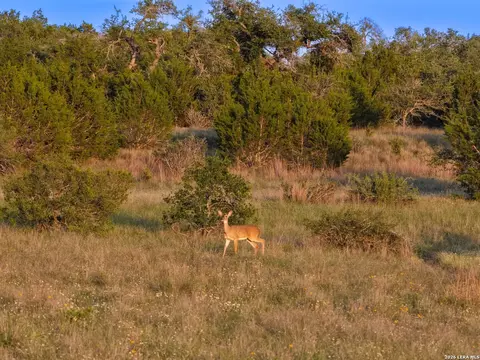 tbd Fm 32, Blanco, TX 78606 photo 4