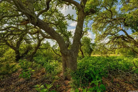 tbd Fm 32, Blanco, TX 78606 photo 38