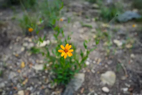 tbd Fm 32, Blanco, TX 78606 photo 34
