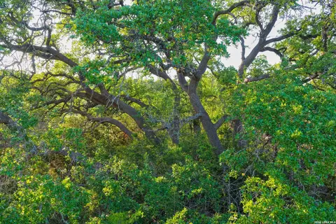 tbd Fm 32, Blanco, TX 78606 photo 7