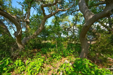 tbd Fm 32, Blanco, TX 78606 photo 37