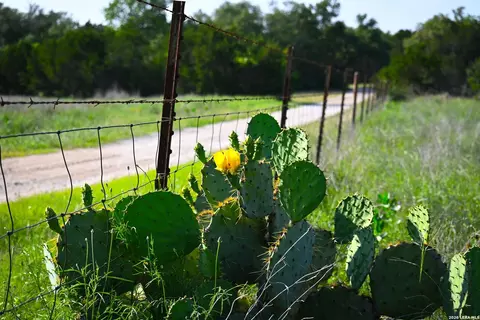 tbd Fm 32, Blanco, TX 78606 photo 32