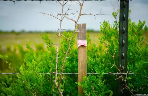 000 County Road 332, Beeville, TX 78102 photo 5