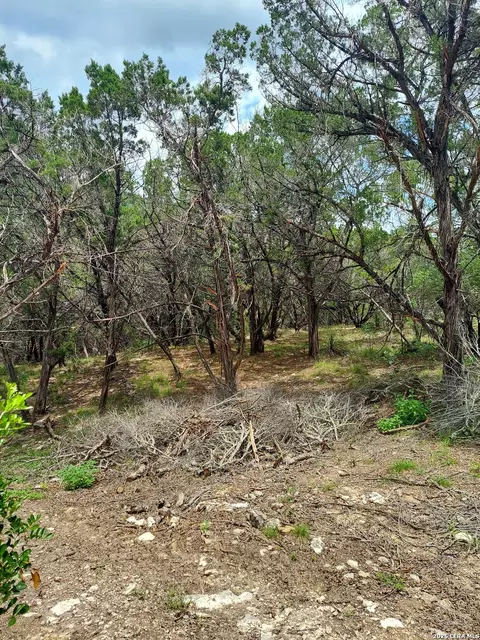 lot10 Canyon, Lakehills, TX 78063