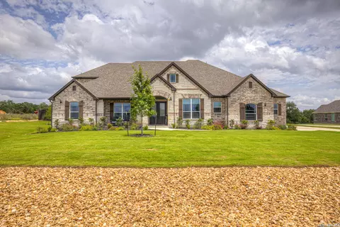 10696 Chestnut Warbler, New Braunfels, TX 78132