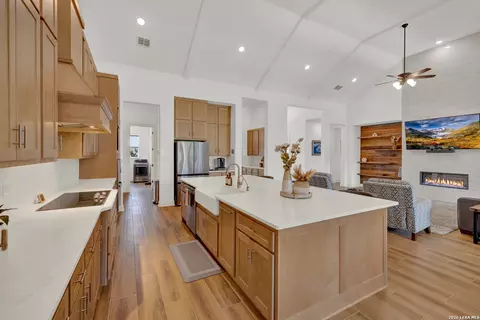 10696 Chestnut Warbler, New Braunfels, TX 78132