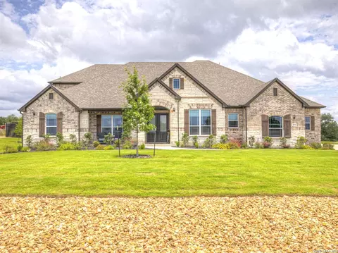 10696 Chestnut Warbler, New Braunfels, TX 78132