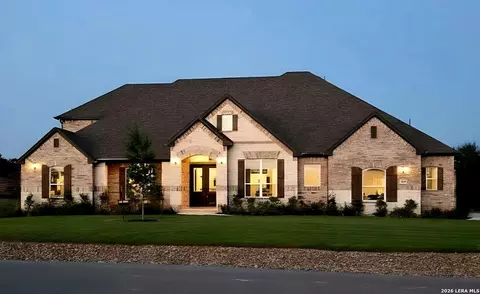 10696 Chestnut Warbler, New Braunfels, TX 78132