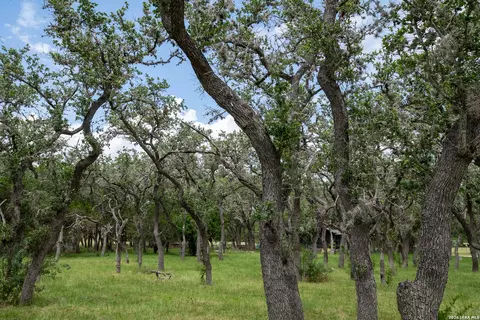 Other - 228 Post Oak Ln, Utopia, TX 78884 photo 18 of 19