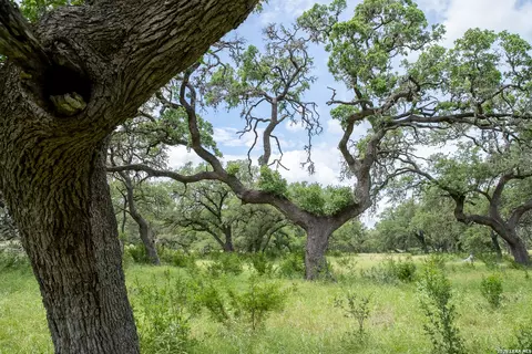Other - 228 Post Oak Ln, Utopia, TX 78884 photo 9 of 19