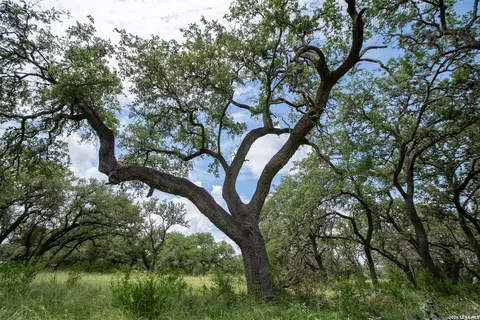 Other - 228 Post Oak Ln, Utopia, TX 78884 photo 8 of 19
