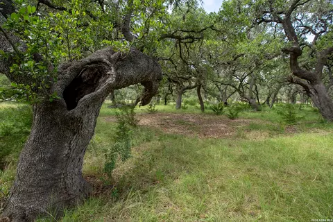 Other - 228 Post Oak Ln, Utopia, TX 78884 photo 13 of 19