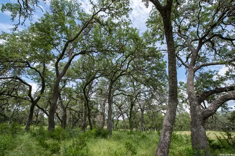 Other - 228 Post Oak Ln, Utopia, TX 78884 photo 14 of 19