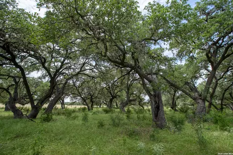 Other - 228 Post Oak Ln, Utopia, TX 78884 photo 10 of 19