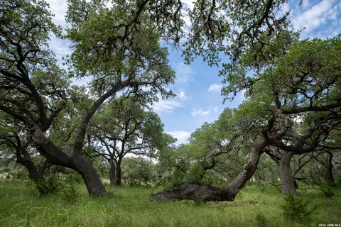 Other - 228 Post Oak Ln, Utopia, TX 78884 photo 15 of 19