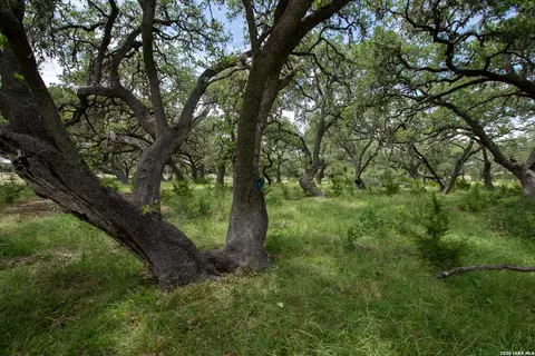 Other - 228 Post Oak Ln, Utopia, TX 78884 photo 11 of 19