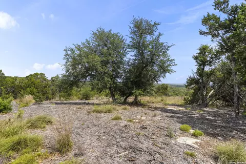 341 Mitchell Dr, Spring Branch, TX 78070 photo 12