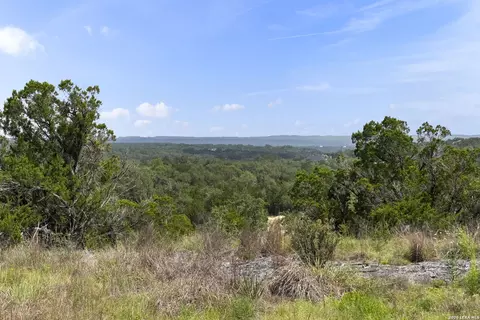341 Mitchell Dr, Spring Branch, TX 78070 photo 9