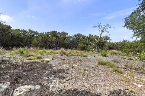 341 Mitchell Dr, Spring Branch, TX 78070 photo 10