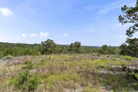 341 Mitchell Dr, Spring Branch, TX 78070 photo 8
