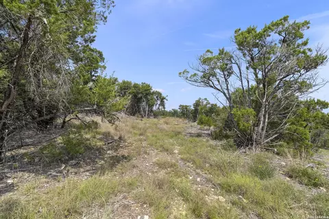 341 Mitchell Dr, Spring Branch, TX 78070 photo 7
