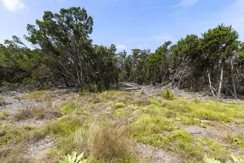 341 Mitchell Dr, Spring Branch, TX 78070 photo 5