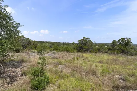 341 Mitchell Dr, Spring Branch, TX 78070 photo 6