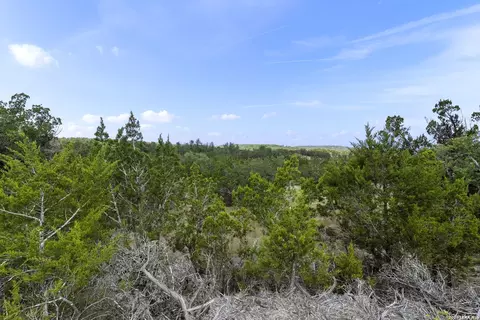 341 Mitchell Dr, Spring Branch, TX 78070 photo 16