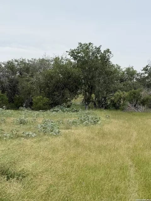 6038 County Road 405, Floresville, TX 78114