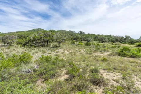 Other - 447 Blesssing Ln, Utopia, TX 78884 photo 3 of 21
