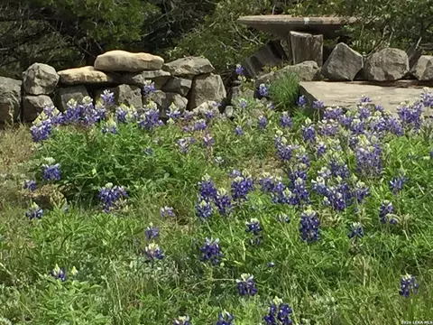 Exterior - 447 Blesssing Ln, Utopia, TX 78884 photo 6 of 11