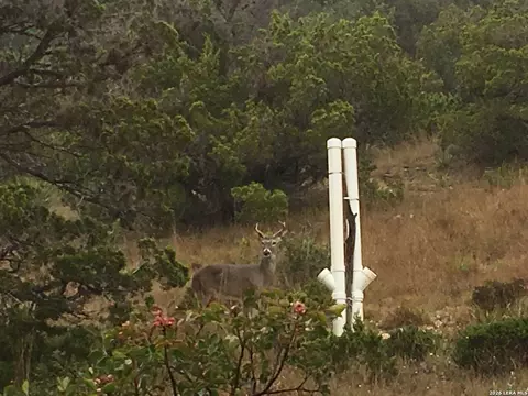 Other - 447 Blesssing Ln, Utopia, TX 78884 photo 7 of 23